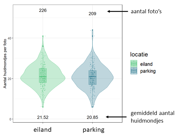 Een samenvatting van de huidmondjes tellingen. Bovenaan staat het aantal tellingen of foto’s weergegeven, onderaan staat het gemiddelde getelde aantal huidmondjes weergegeven. Centraal geven een boxplot en vioolplot de verdeling van de datapunten weer.